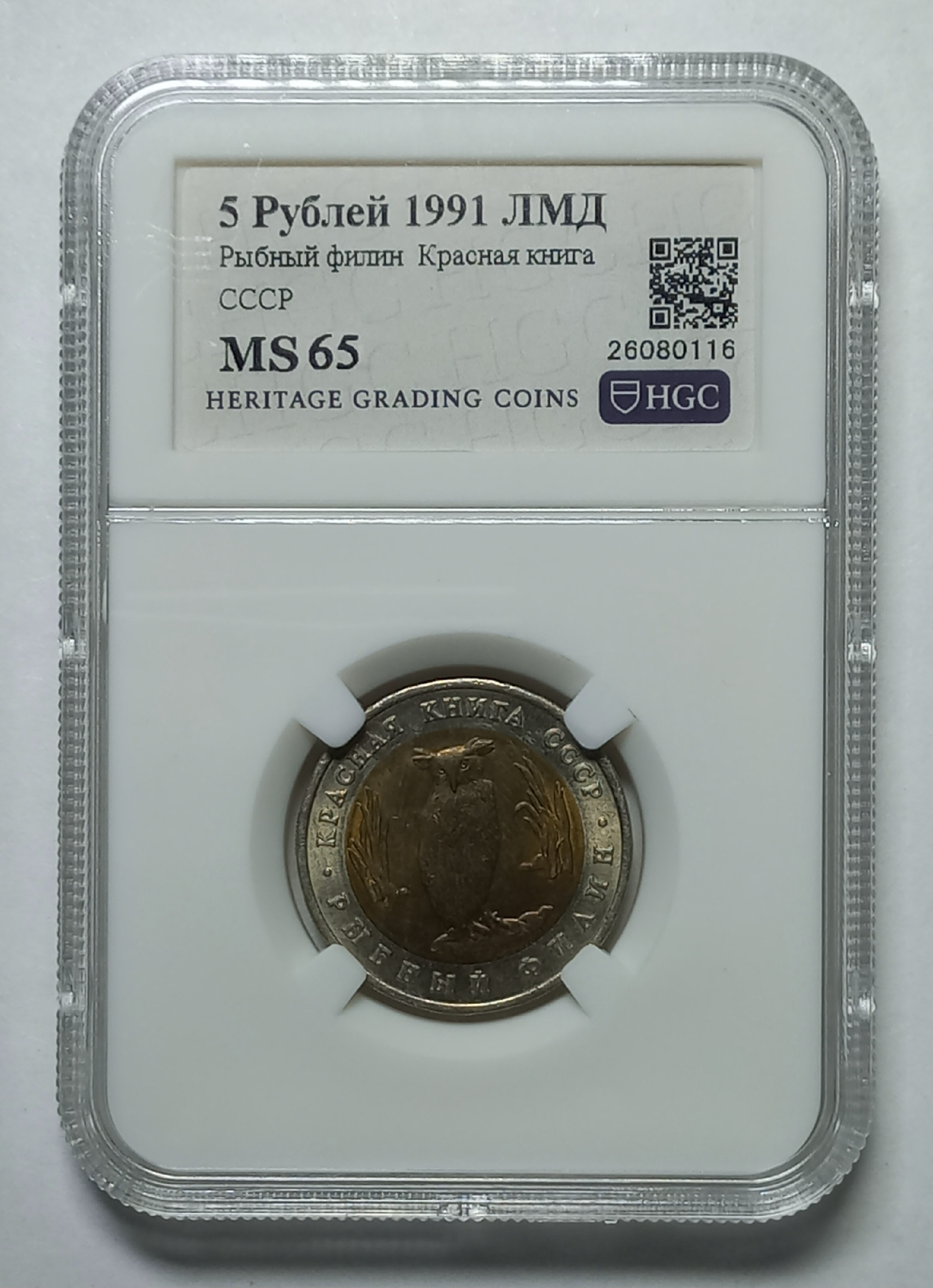 coin