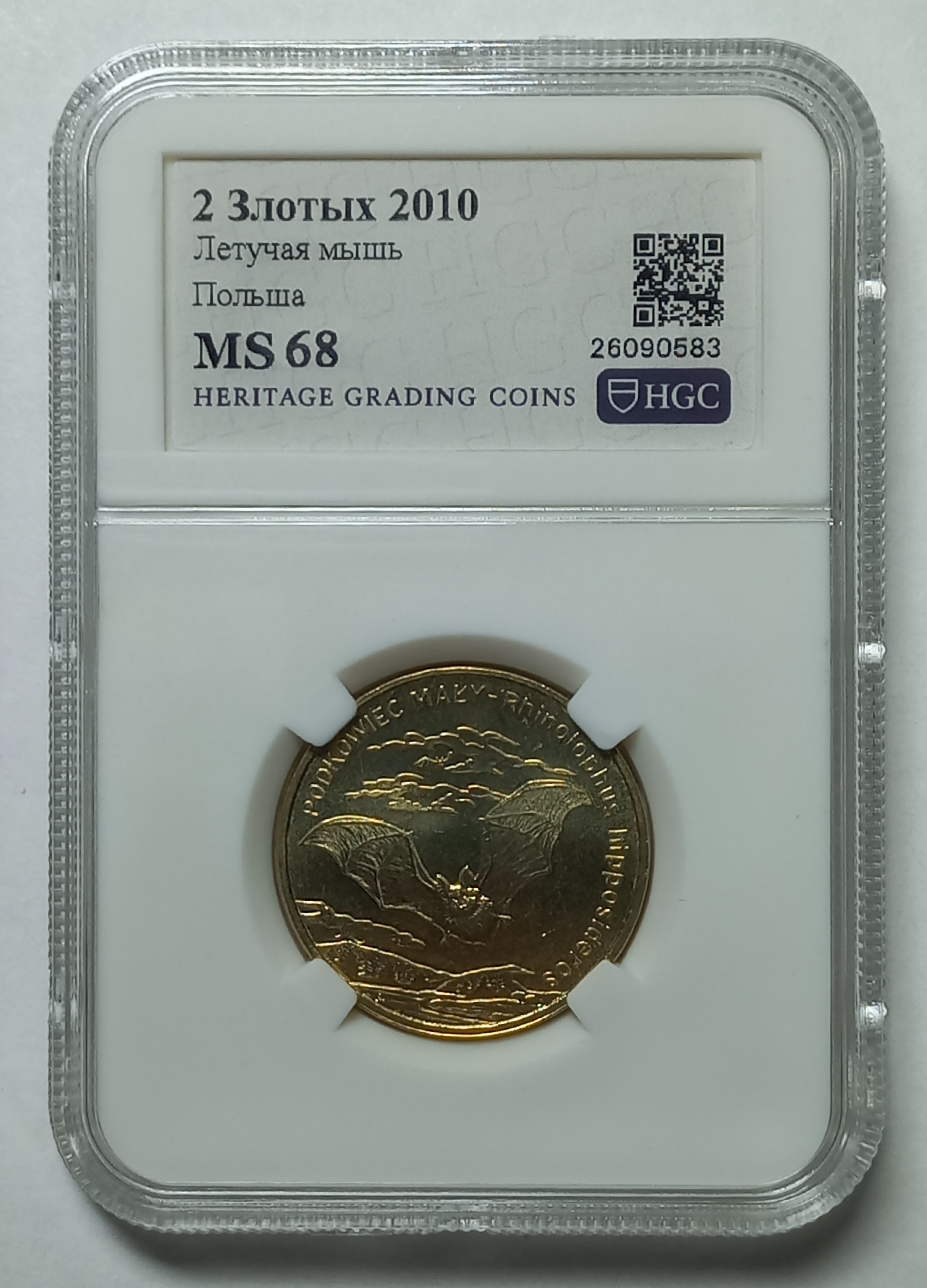 coin
