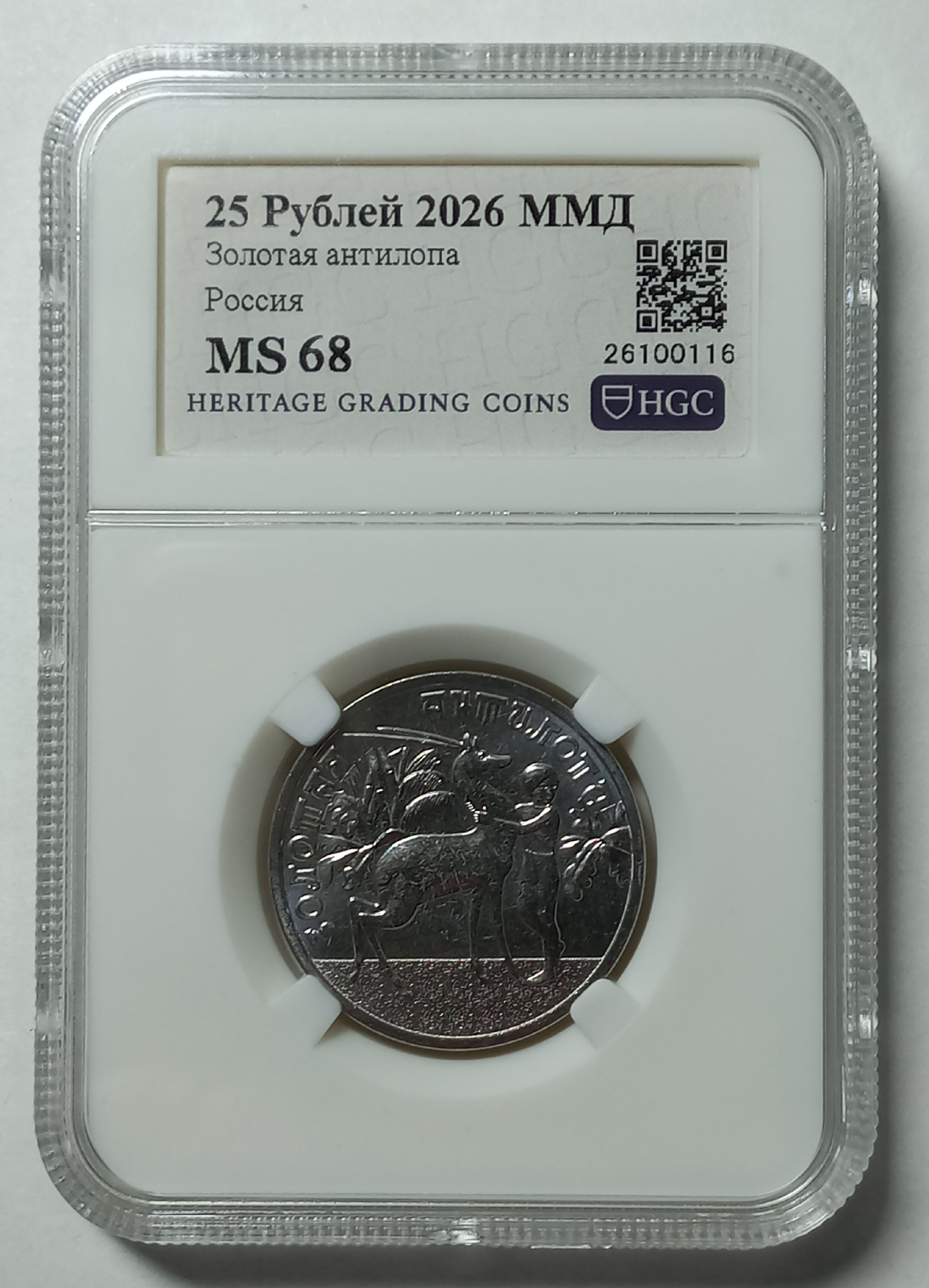 coin