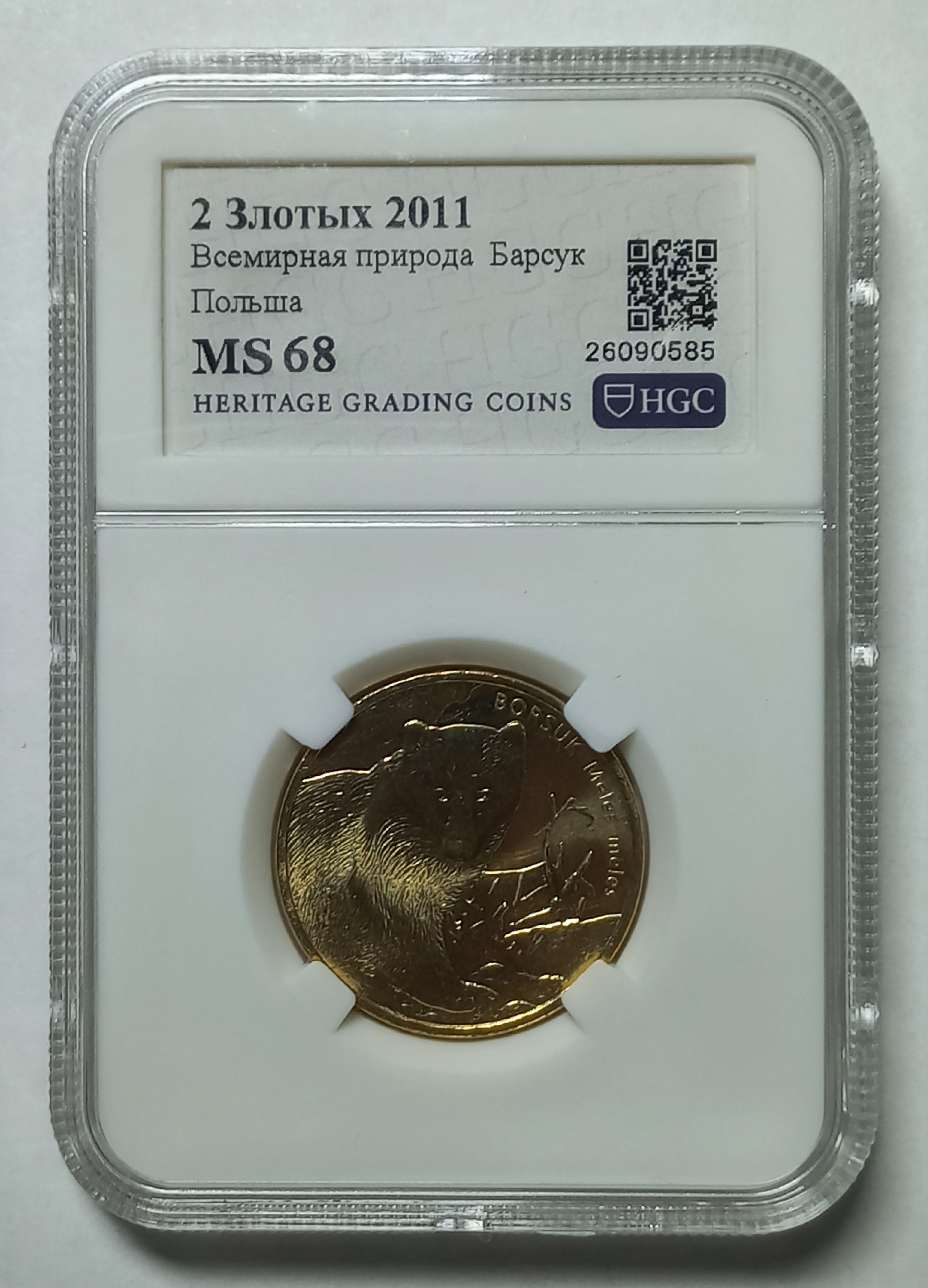 coin